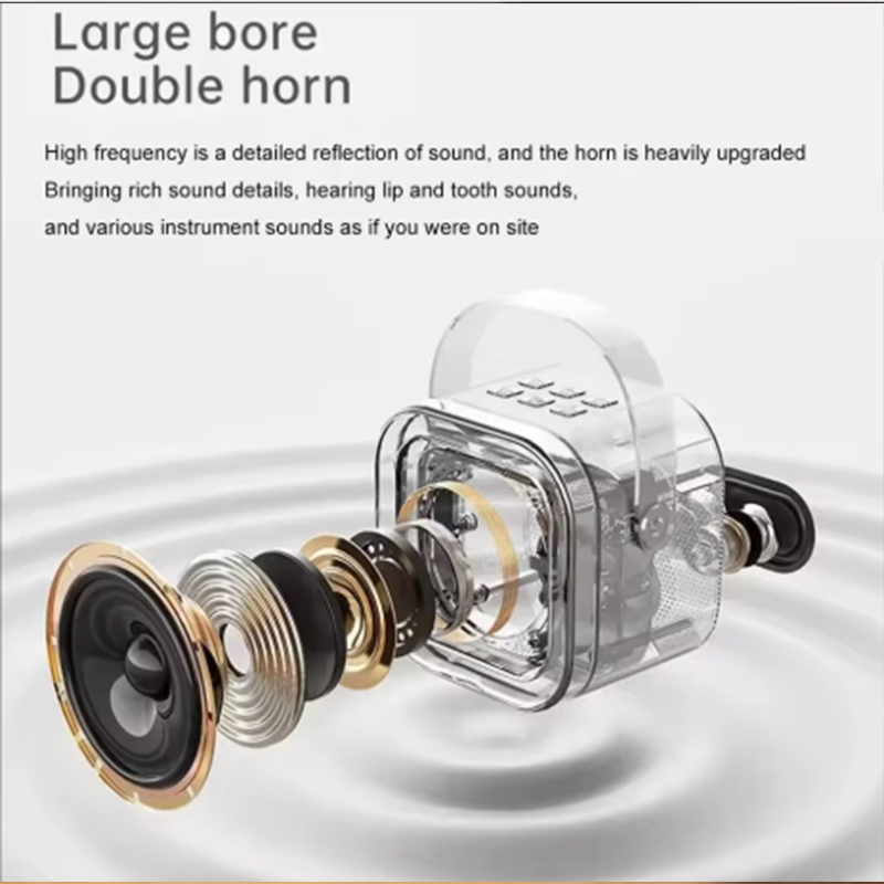 K12 Karaoke Machine Portable B - Microphone Capsule 评论和价格