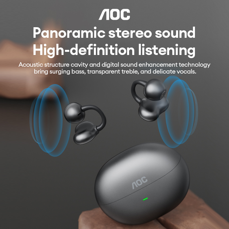 AOC ACD2544 Wireless Bluetooth - Audio Cable Rca 评论和价格